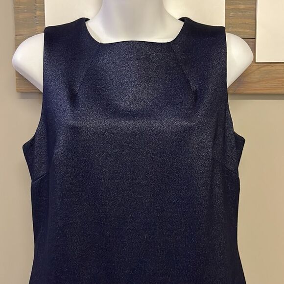 Tommy Hilfiger Navy Sleeveless Sheath Dress with Gold Hardware Back Zipper-Sz 10 - Picture 2 of 10